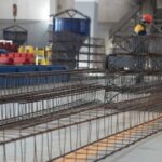 1_20180713_1871388502